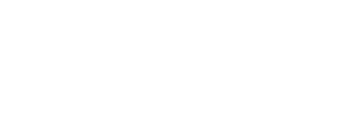 MoFlow Solutions Logo